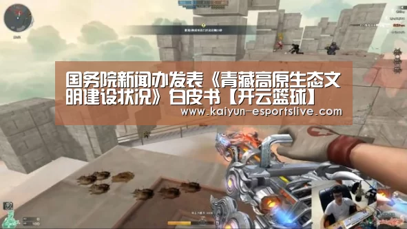 开云篮球